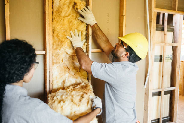 Best Eco-Friendly or Green Insulation Solutions  in Orange Lake, NY